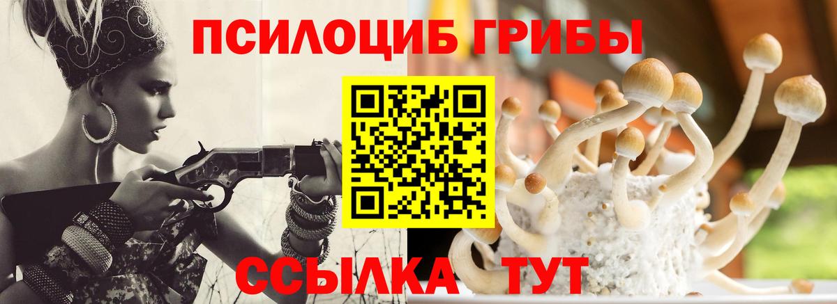 Галлюциногенные грибы мухоморы Железноводск